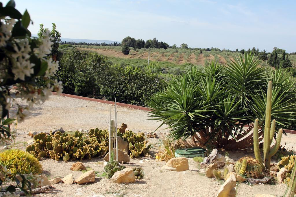 Palmas Dorada Panzió Olmedo Kültér fotó